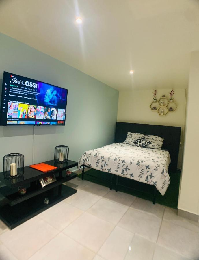 Appartement Cosy Proche Roissy Cdg Asterix Disneyland Paris Goussainville  Εξωτερικό φωτογραφία